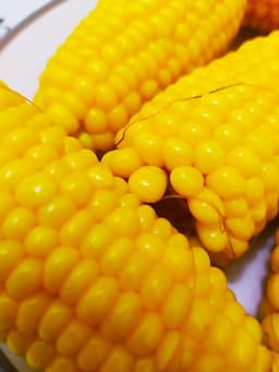 Maize cob