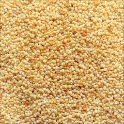 Poppy seeds